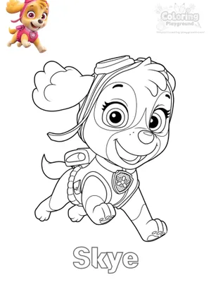 스카이 색칠도안 색칠도안